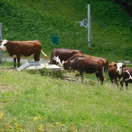 T2 Le Refuge Avec Terrasse
